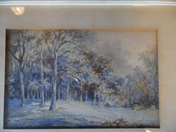 aquarel Mauwe