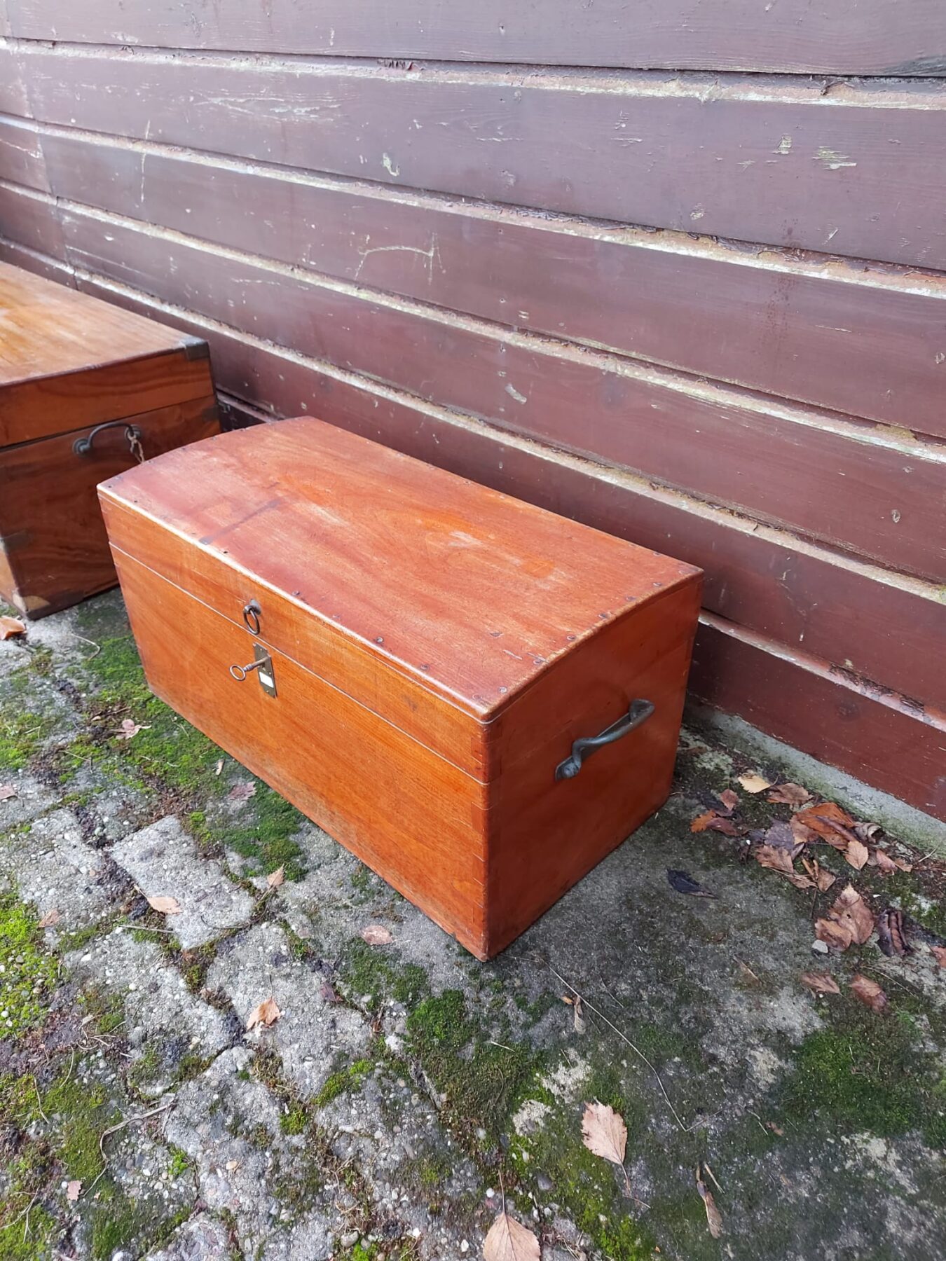 Mahonie kist - Afbeelding 3