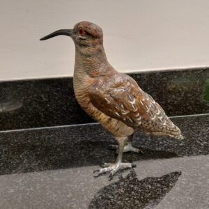 Weens brons Houtsnip